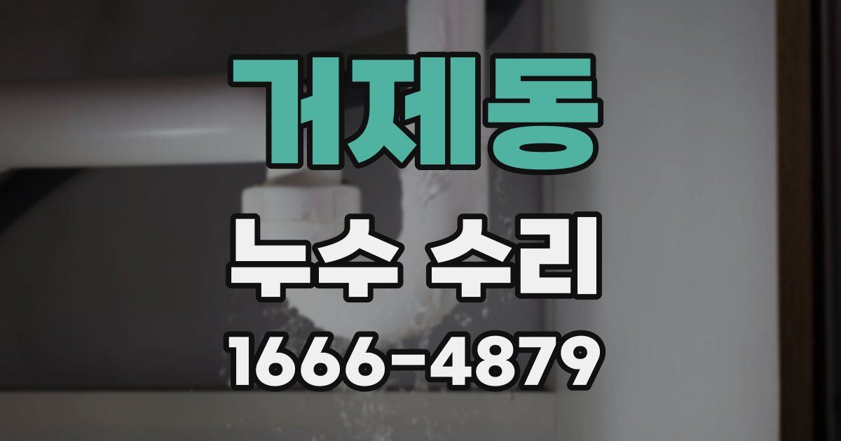 거제동 누수 수리