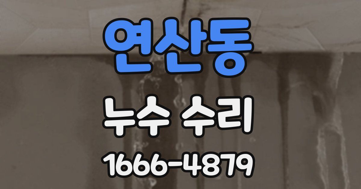연산동 누수 수리