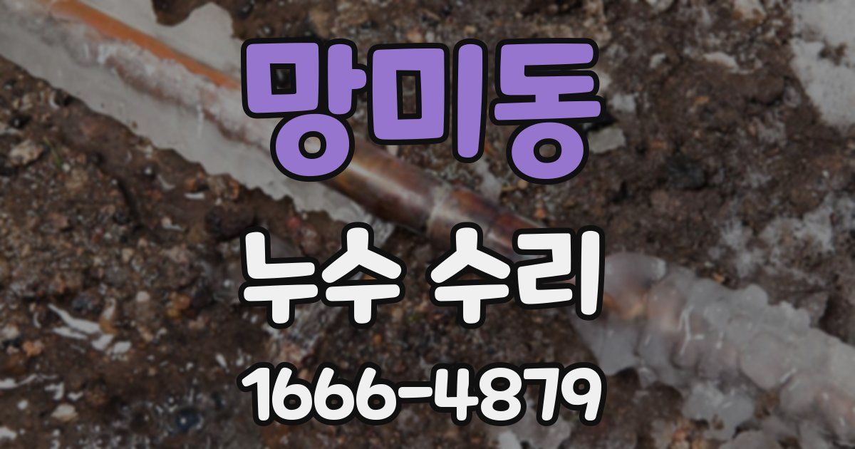 망미동 누수 수리