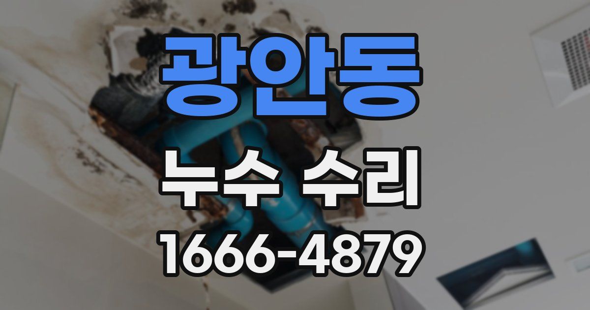 광안동 누수 수리