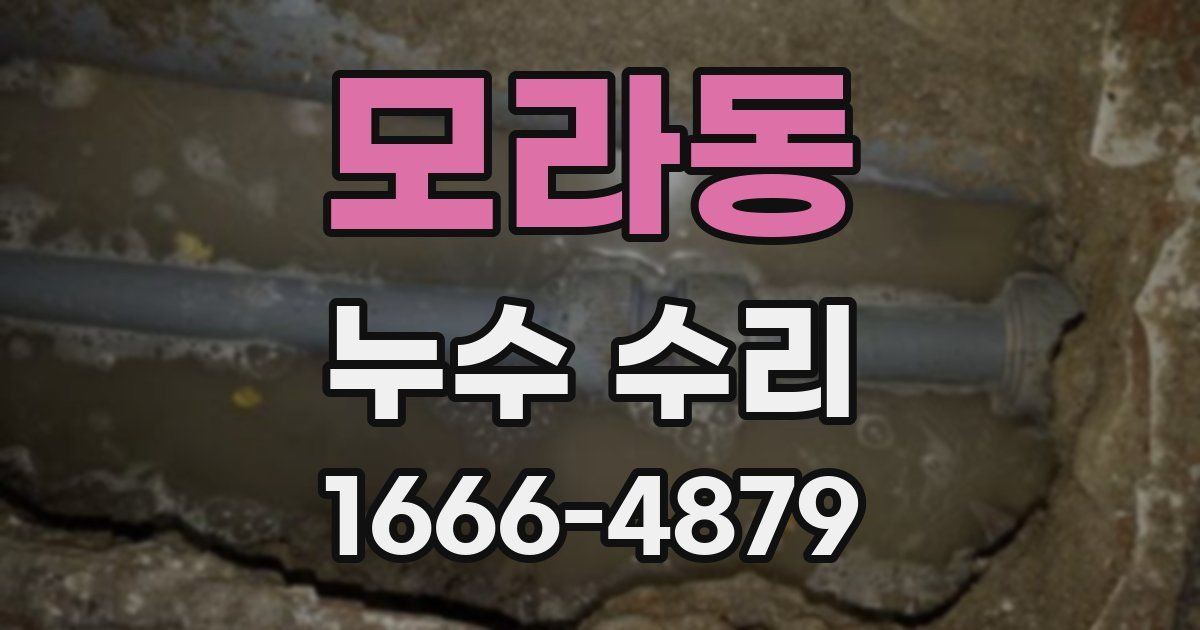 모라동 누수 수리