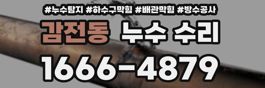 감전동 누수 수리