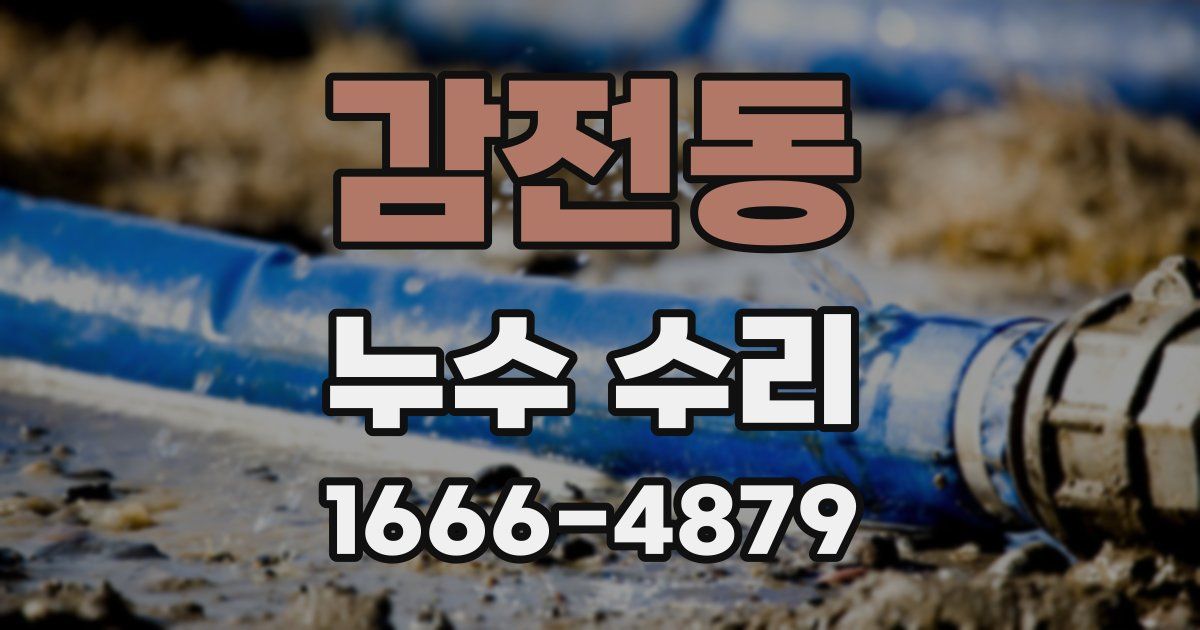 감전동 누수 수리