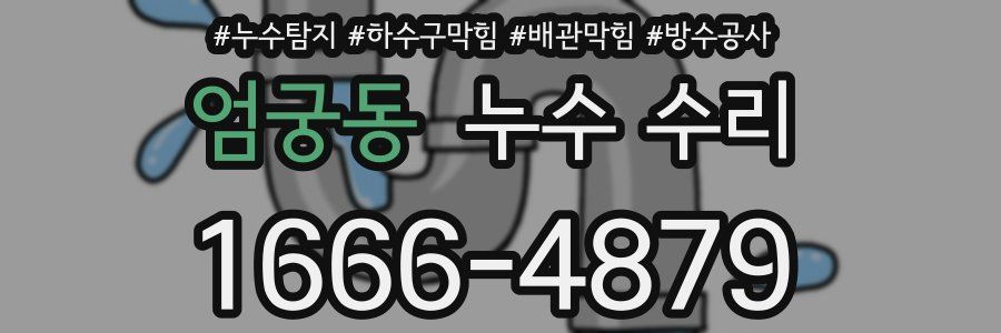 엄궁동 누수 수리
