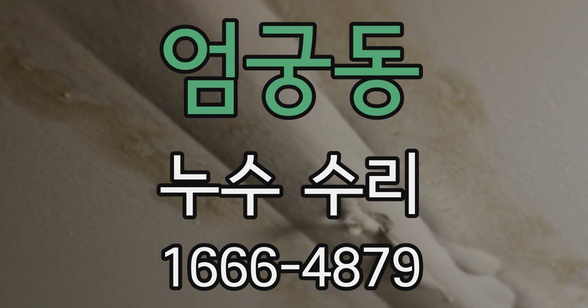 엄궁동 누수 수리