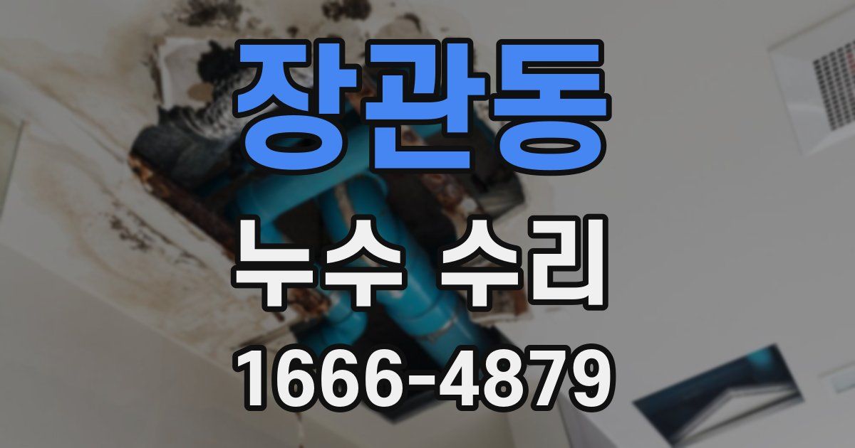 장관동 누수 수리