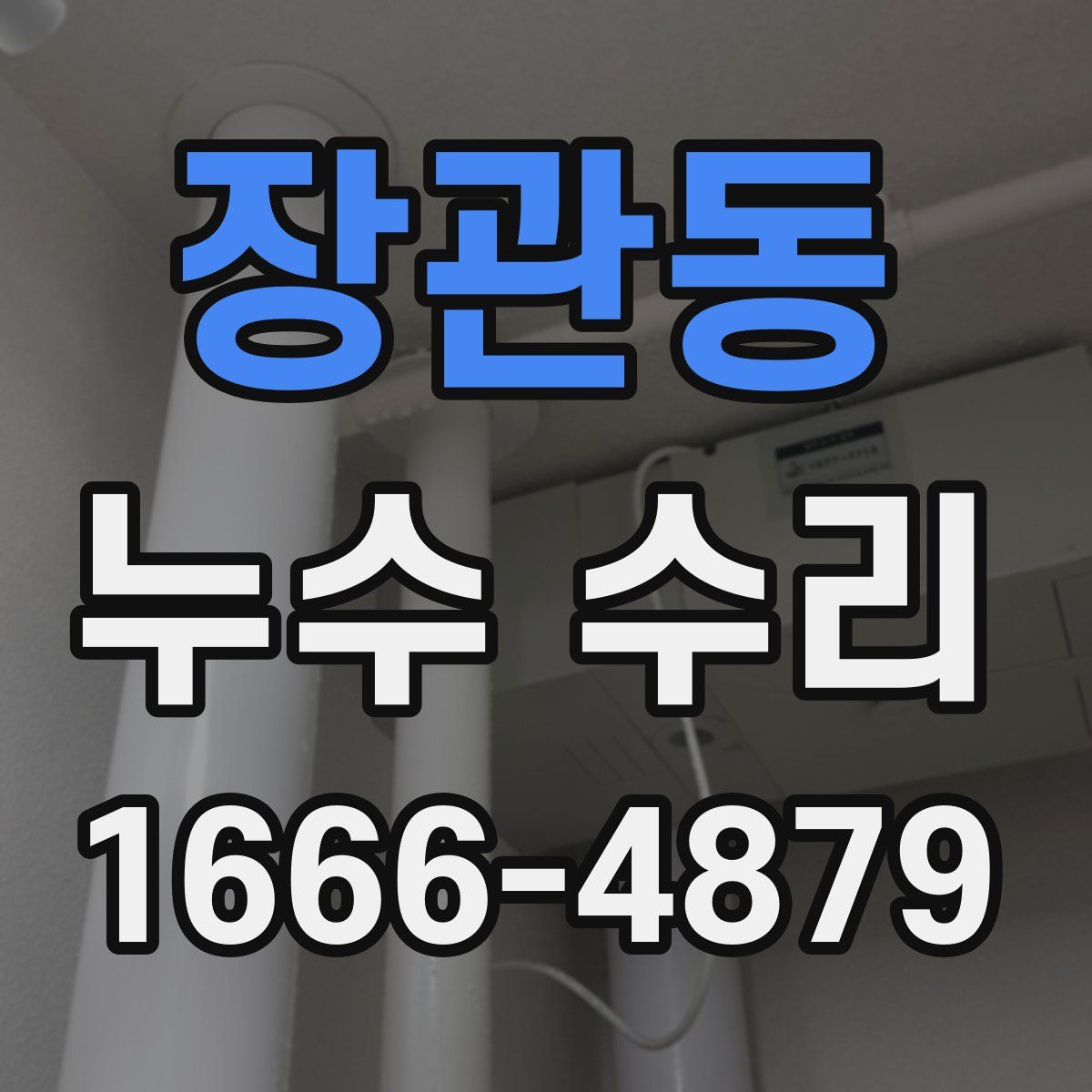 장관동 누수 수리