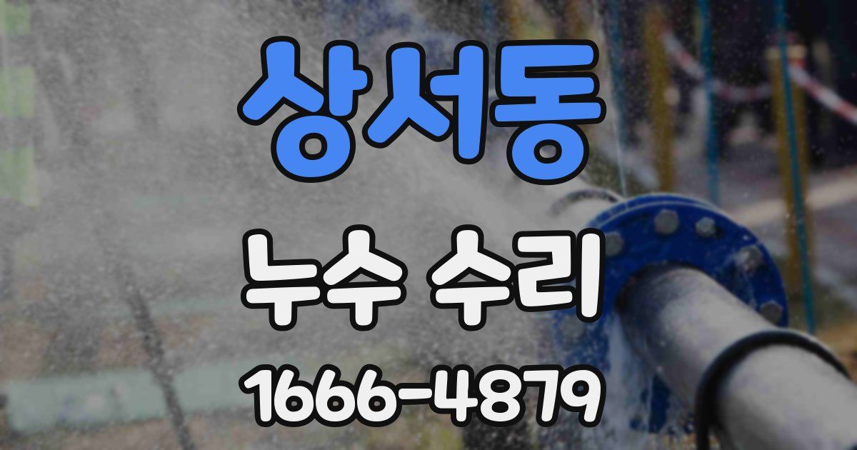 상서동 누수 수리