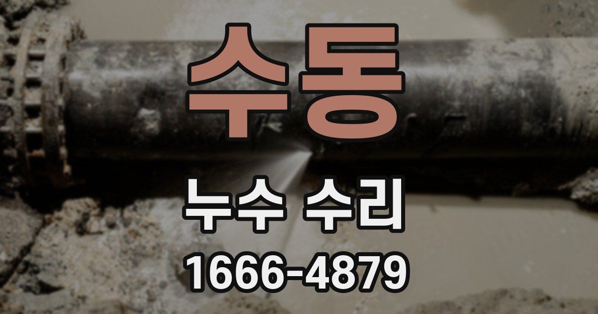 수동 누수 수리