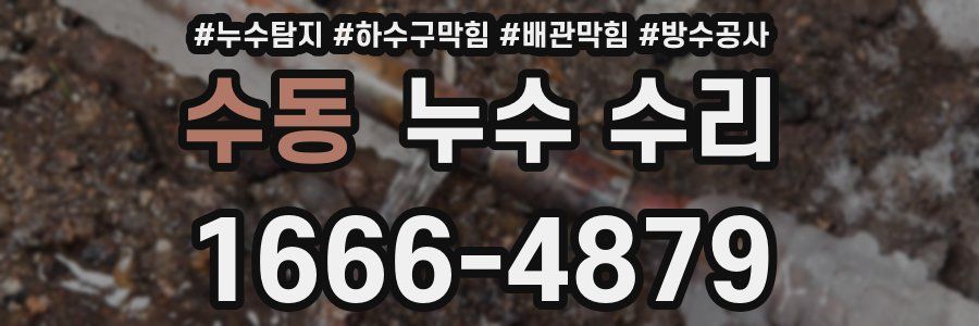 수동 누수 수리
