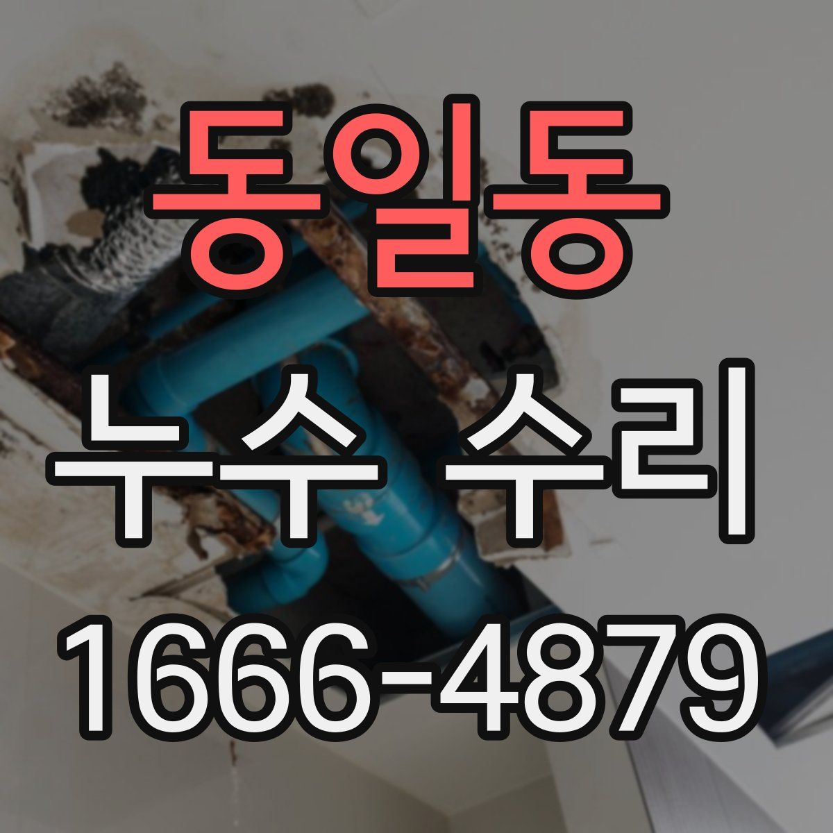 동일동 누수 수리