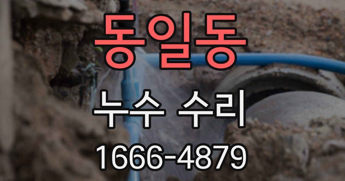 동일동 누수 수리