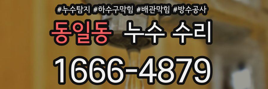동일동 누수 수리