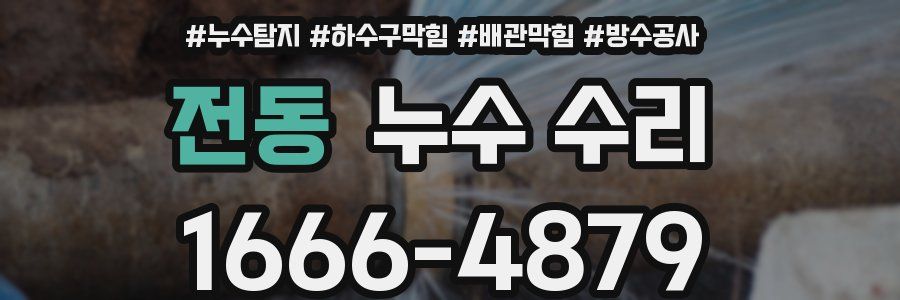 전동 누수 수리