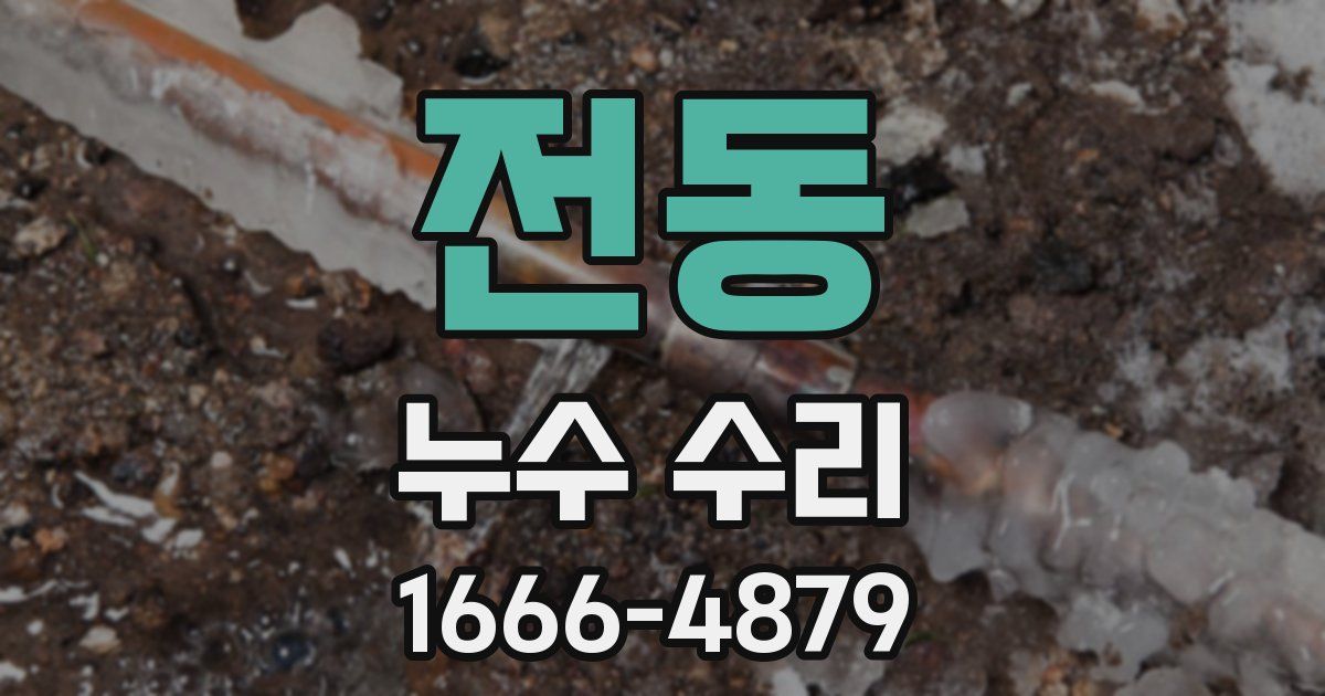전동 누수 수리