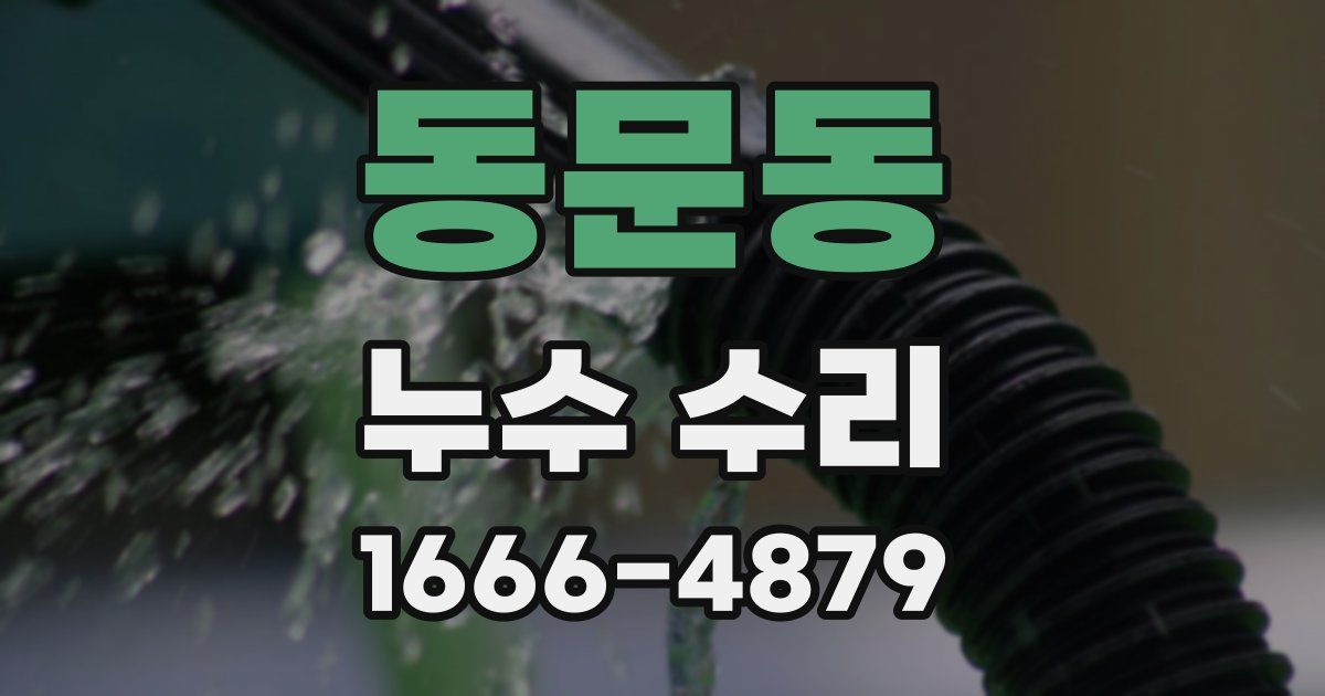 동문동 누수 수리