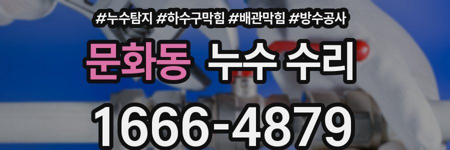 문화동 누수 수리