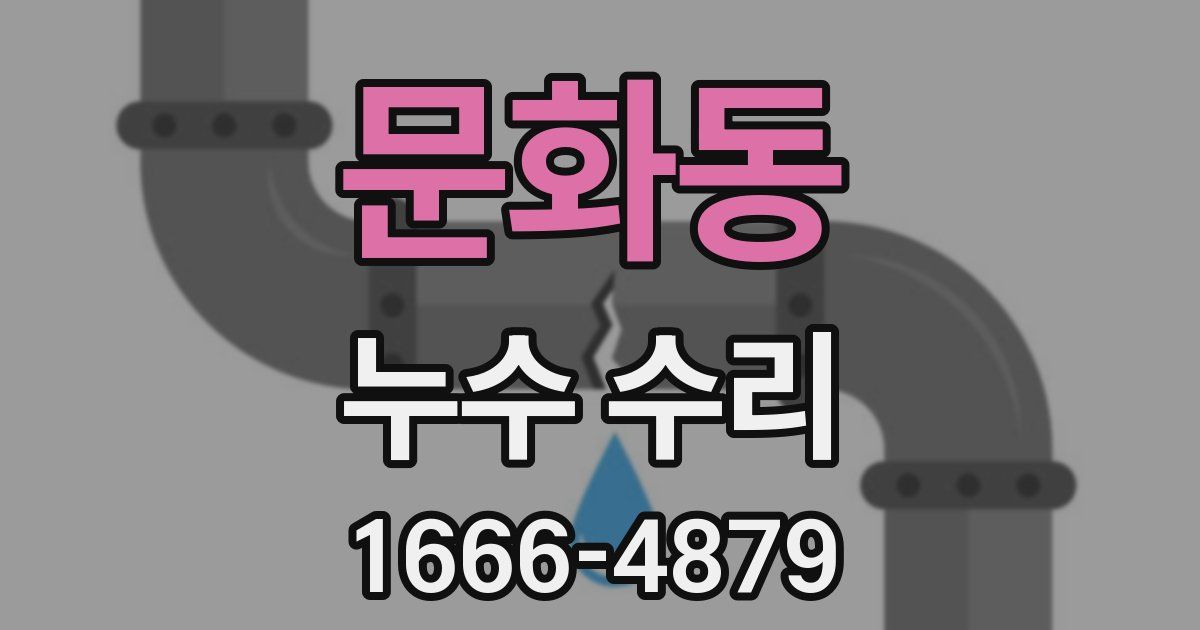 문화동 누수 수리