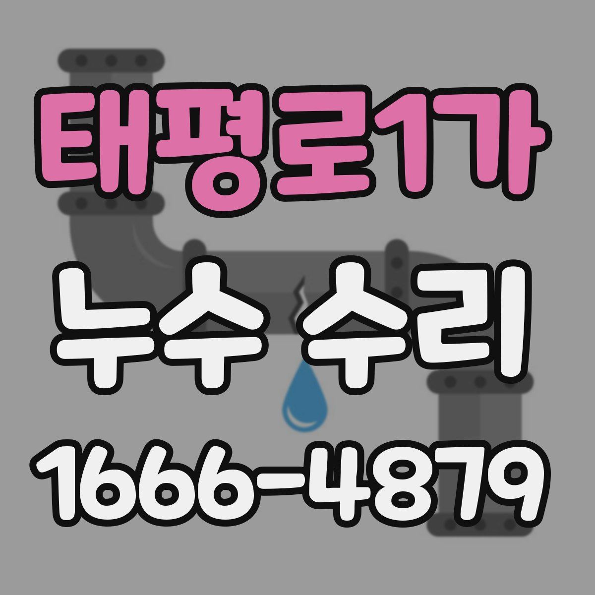 태평로1가 누수 수리