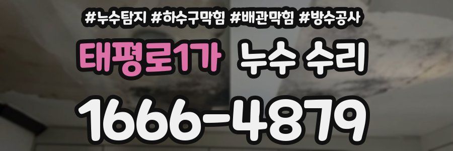 태평로1가 누수 수리