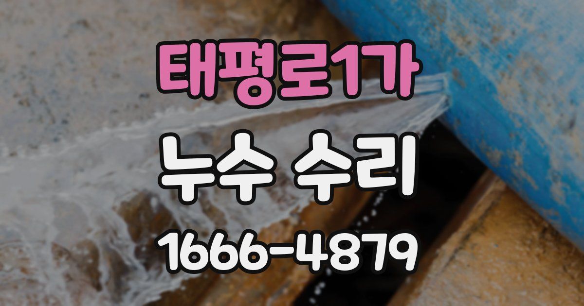 태평로1가 누수 수리
