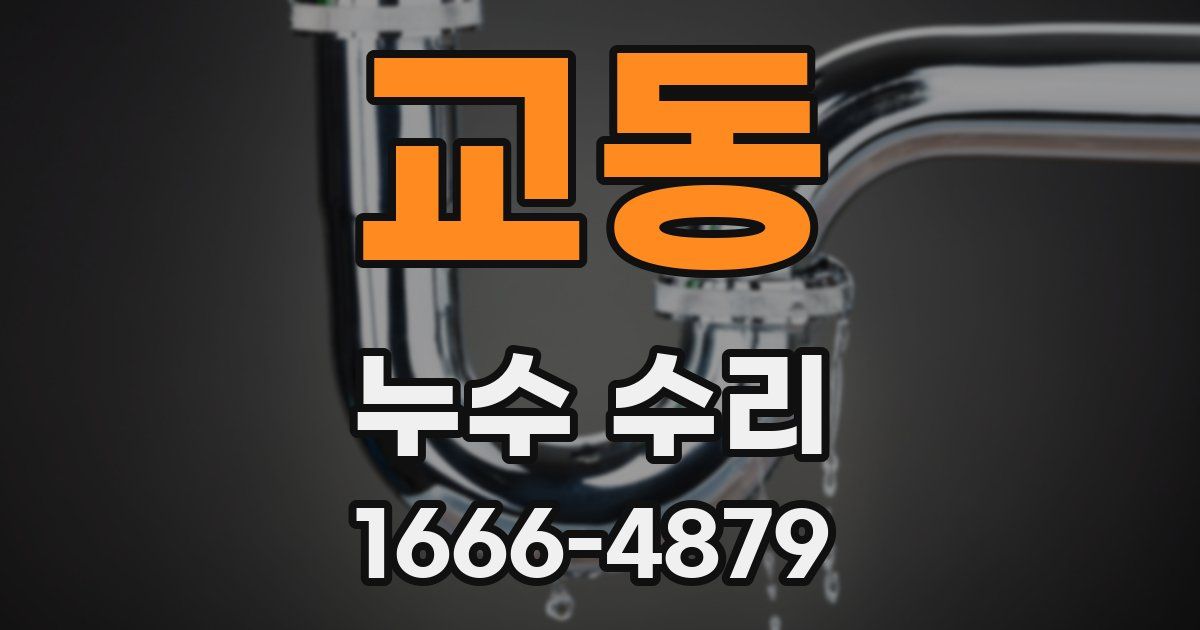 교동 누수 수리