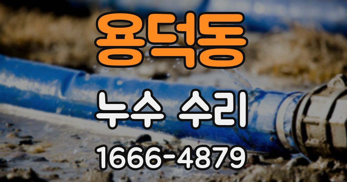 용덕동 누수 수리
