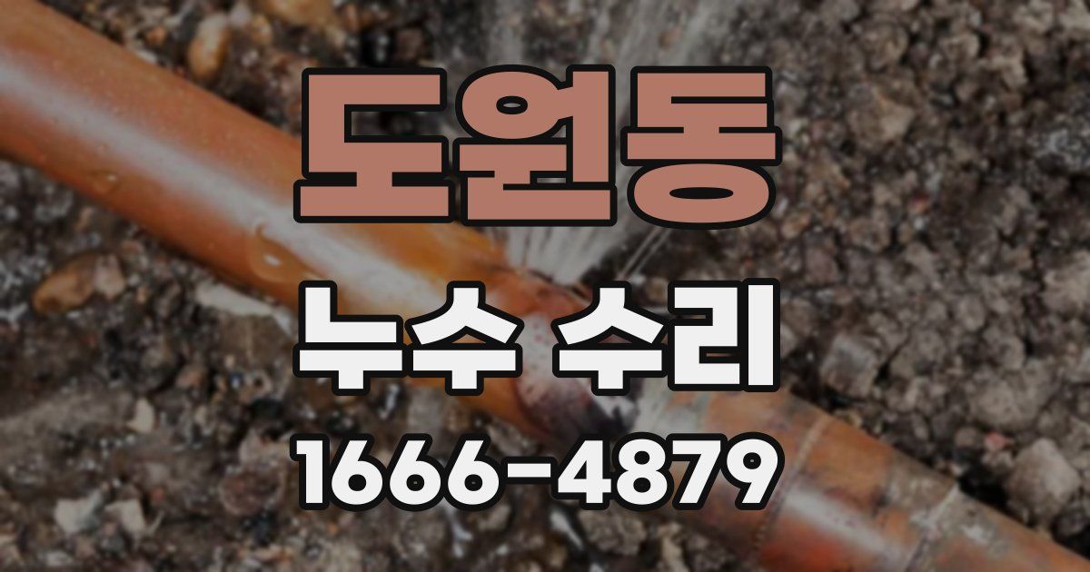 도원동 누수 수리
