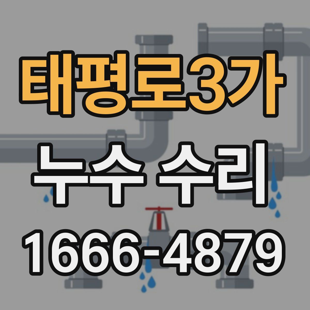 태평로3가 누수 수리