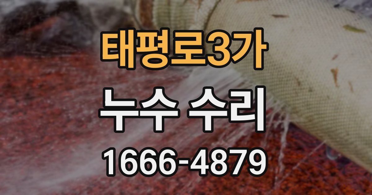 태평로3가 누수 수리