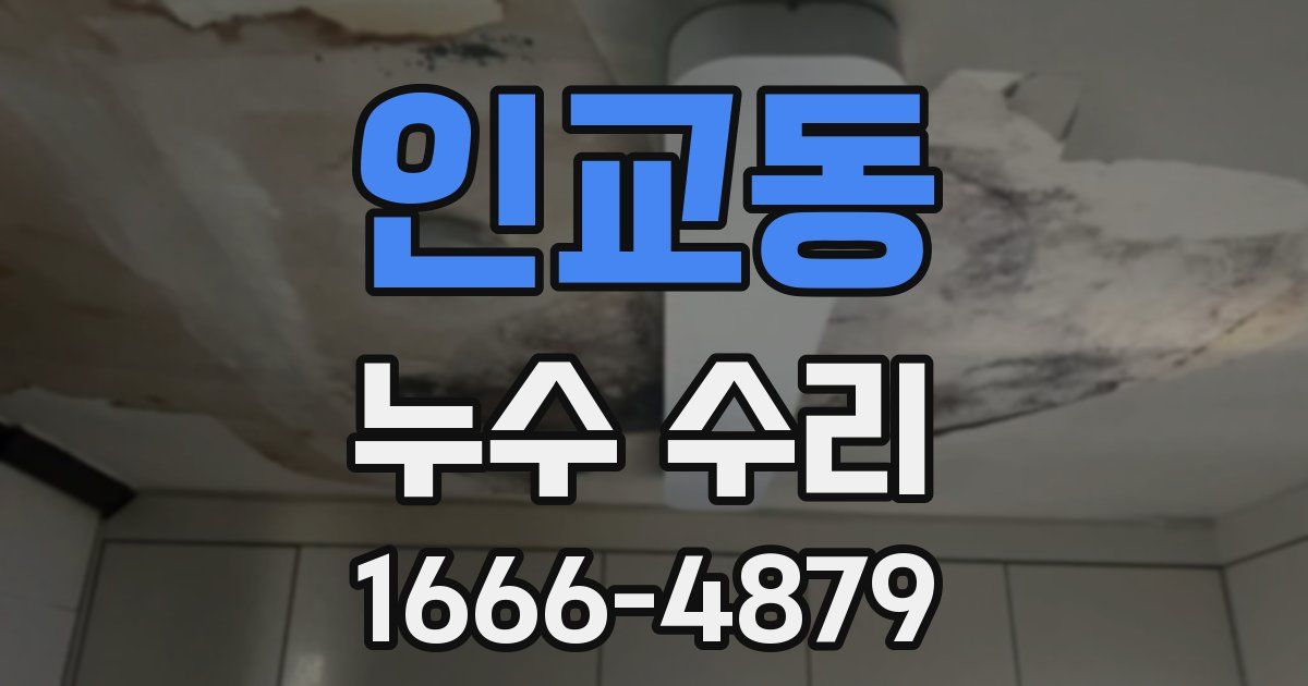 인교동 누수 수리