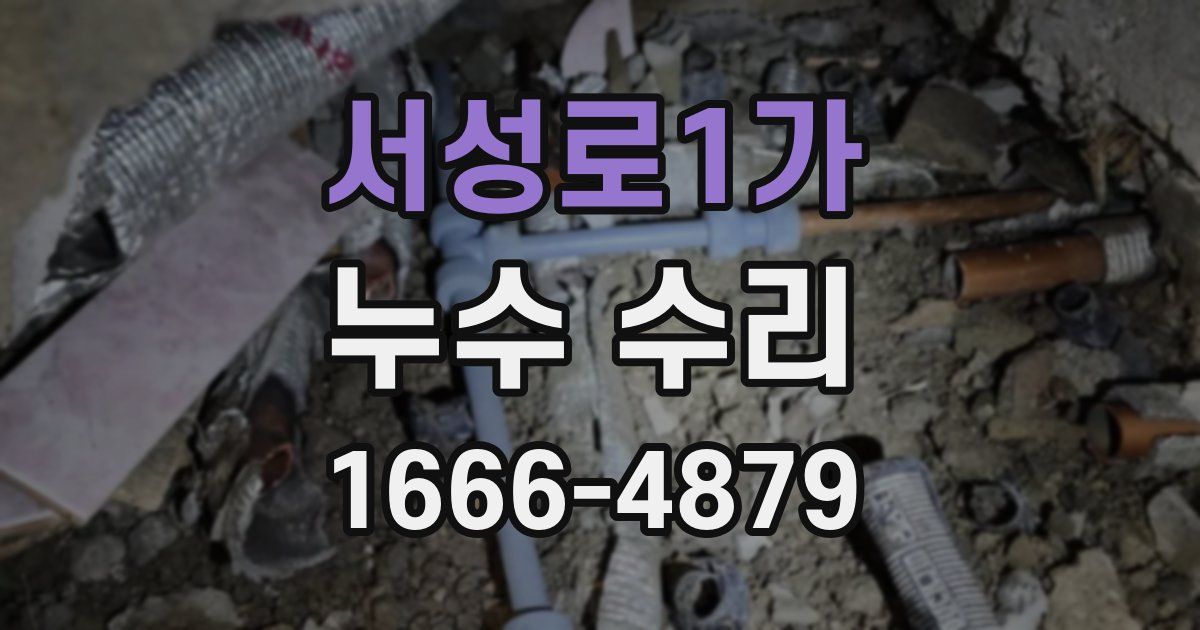 서성로1가 누수 수리