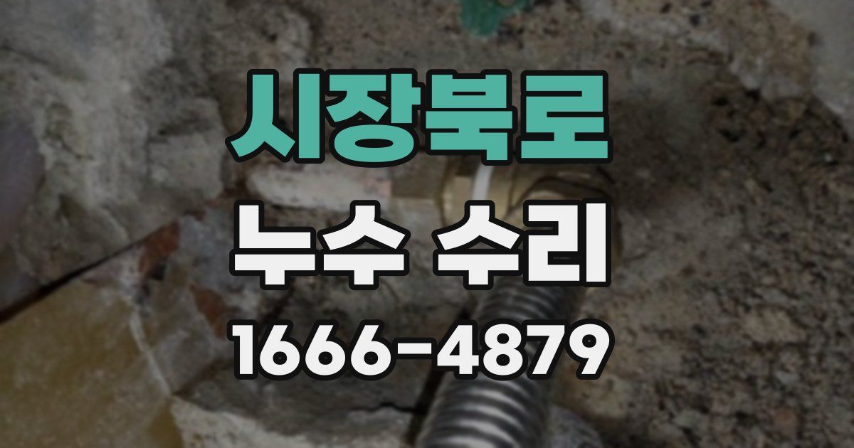 시장북로 누수 수리