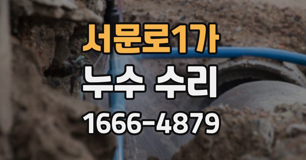 서문로1가 누수 수리