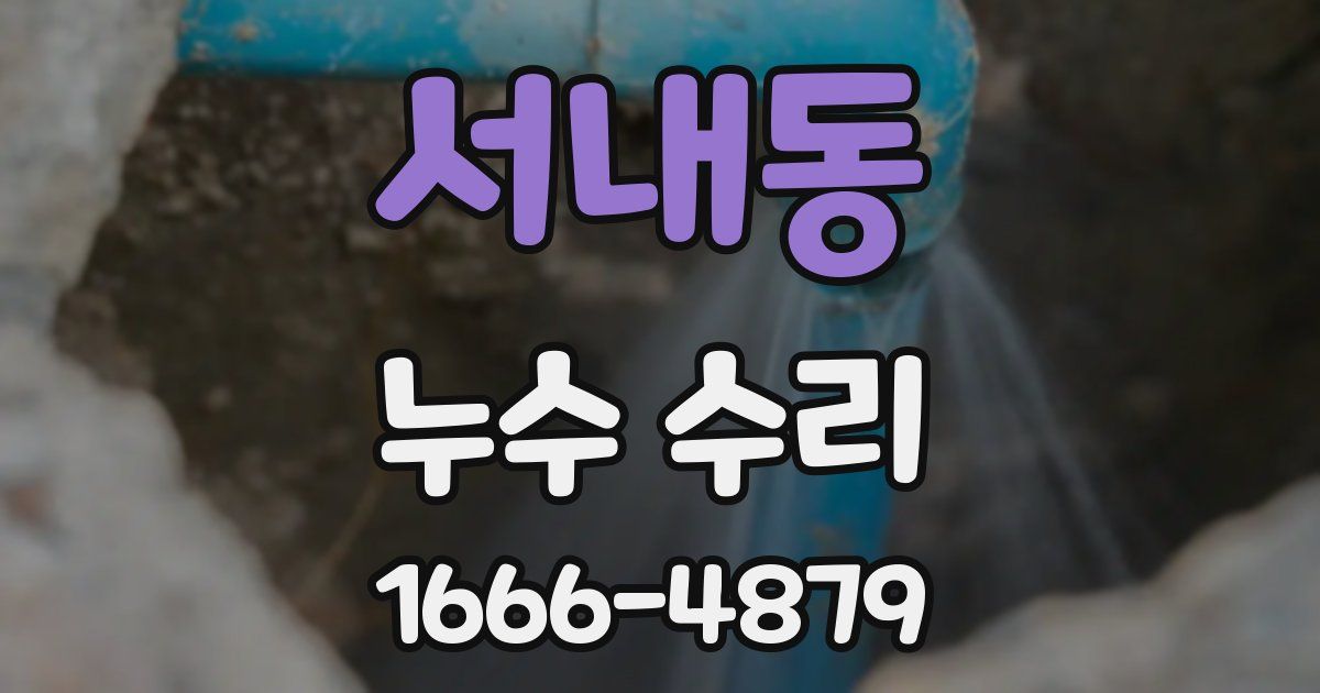 서내동 누수 수리