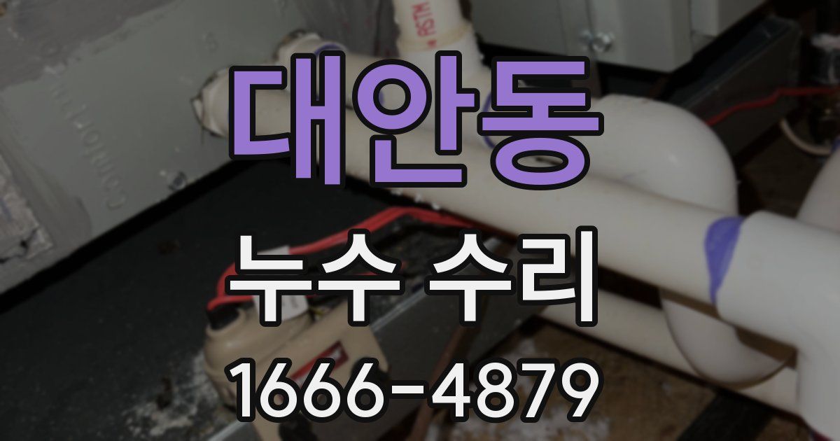 대안동 누수 수리