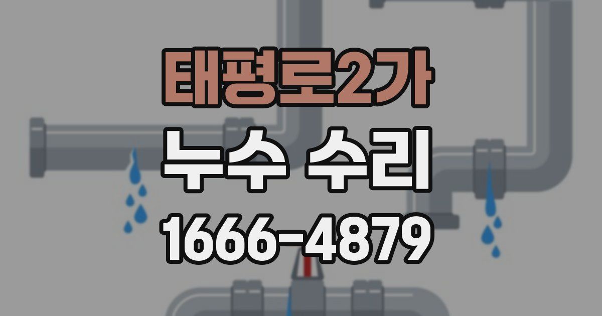 태평로2가 누수 수리