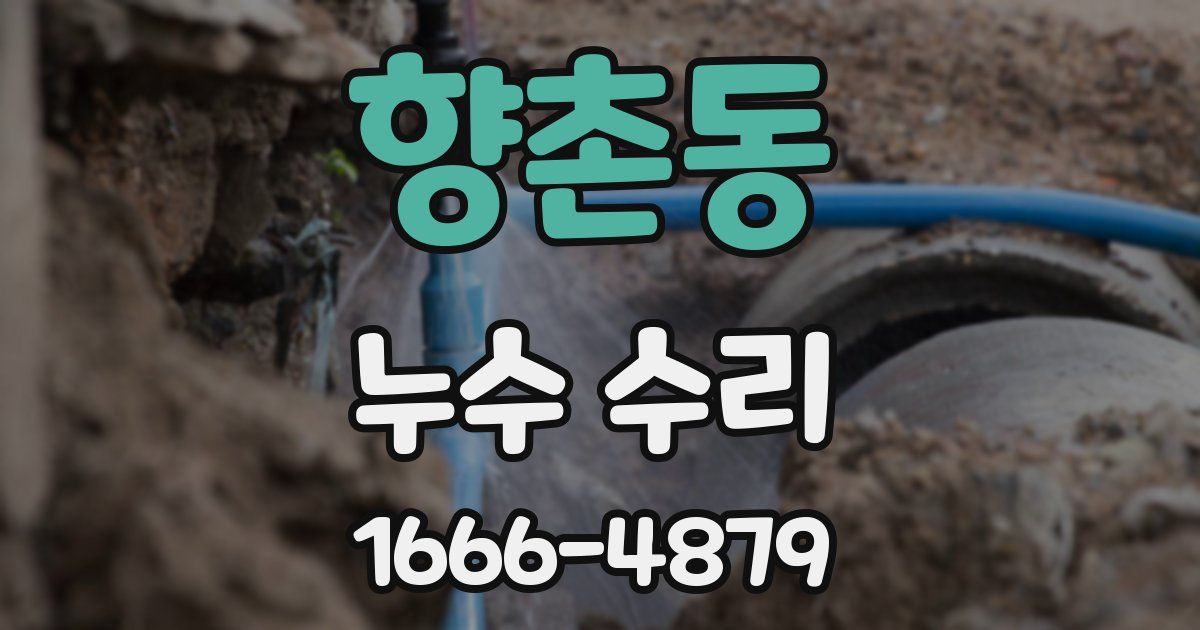 향촌동 누수 수리