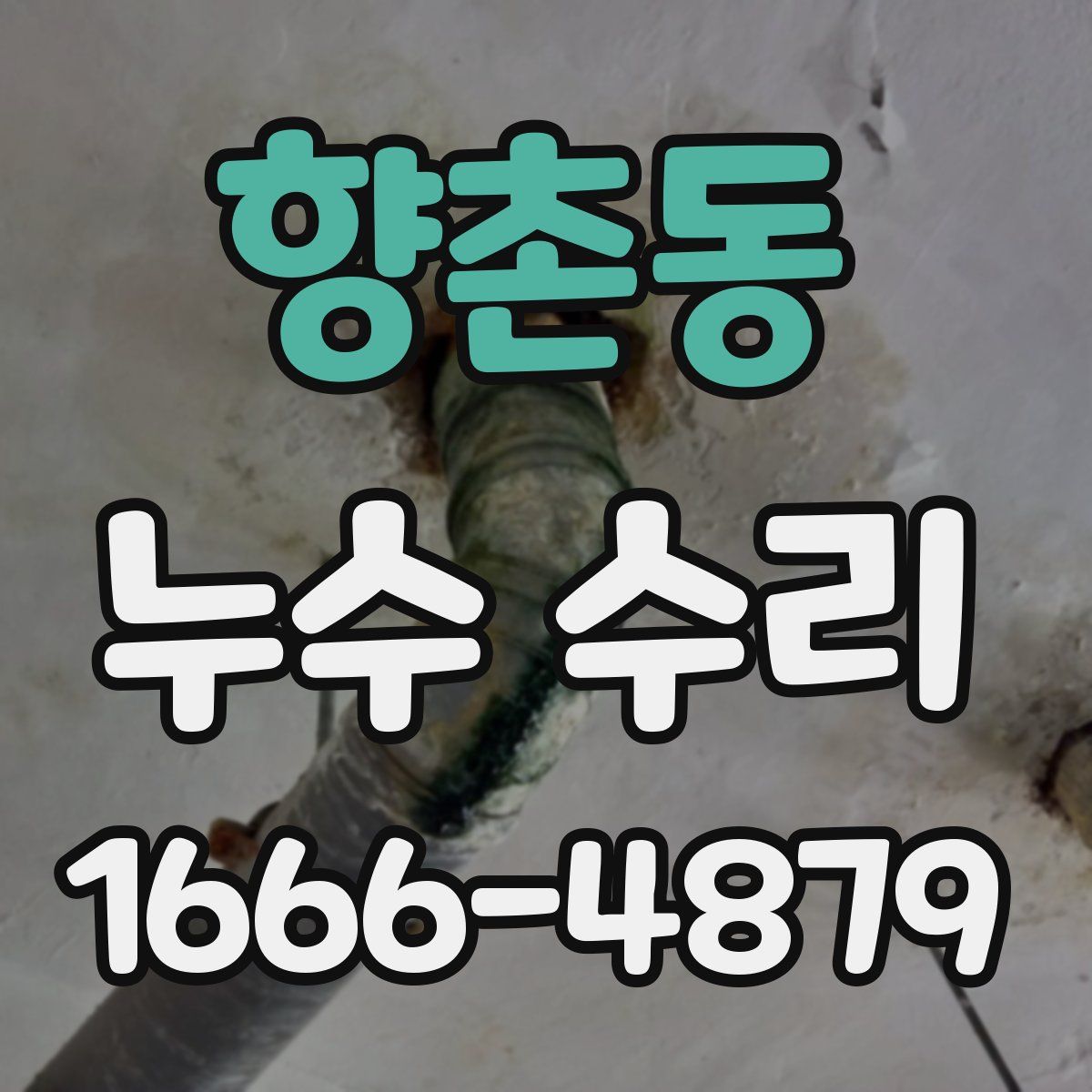 향촌동 누수 수리