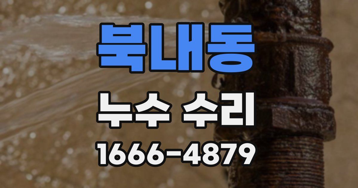 북내동 누수 수리