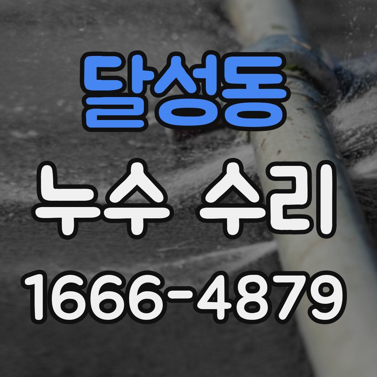 달성동 누수 수리