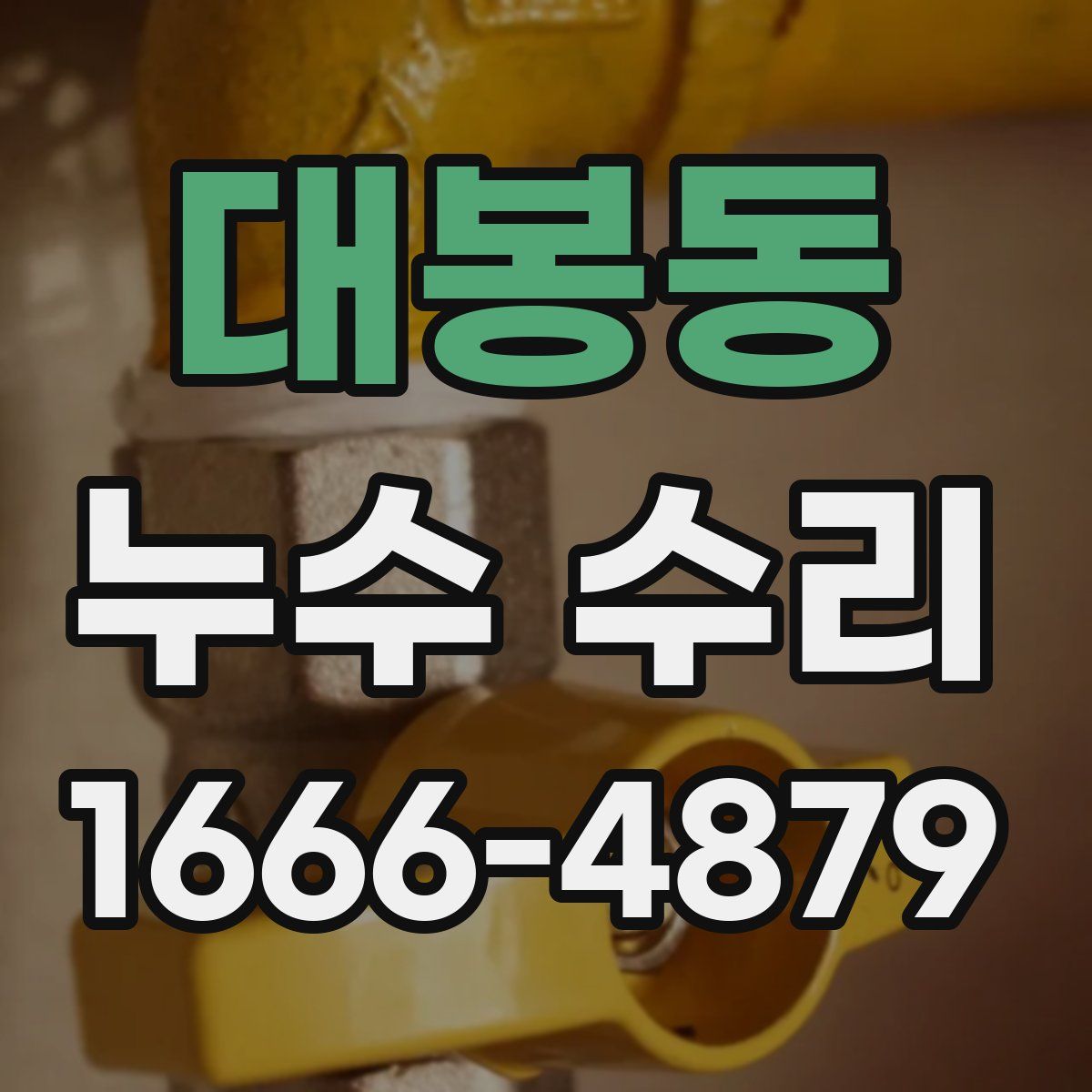 대봉동 누수 수리