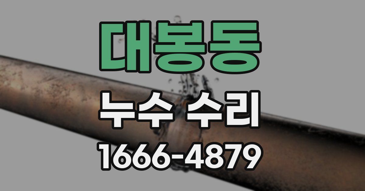 대봉동 누수 수리