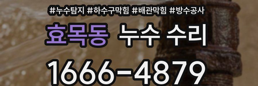 효목동 누수 수리
