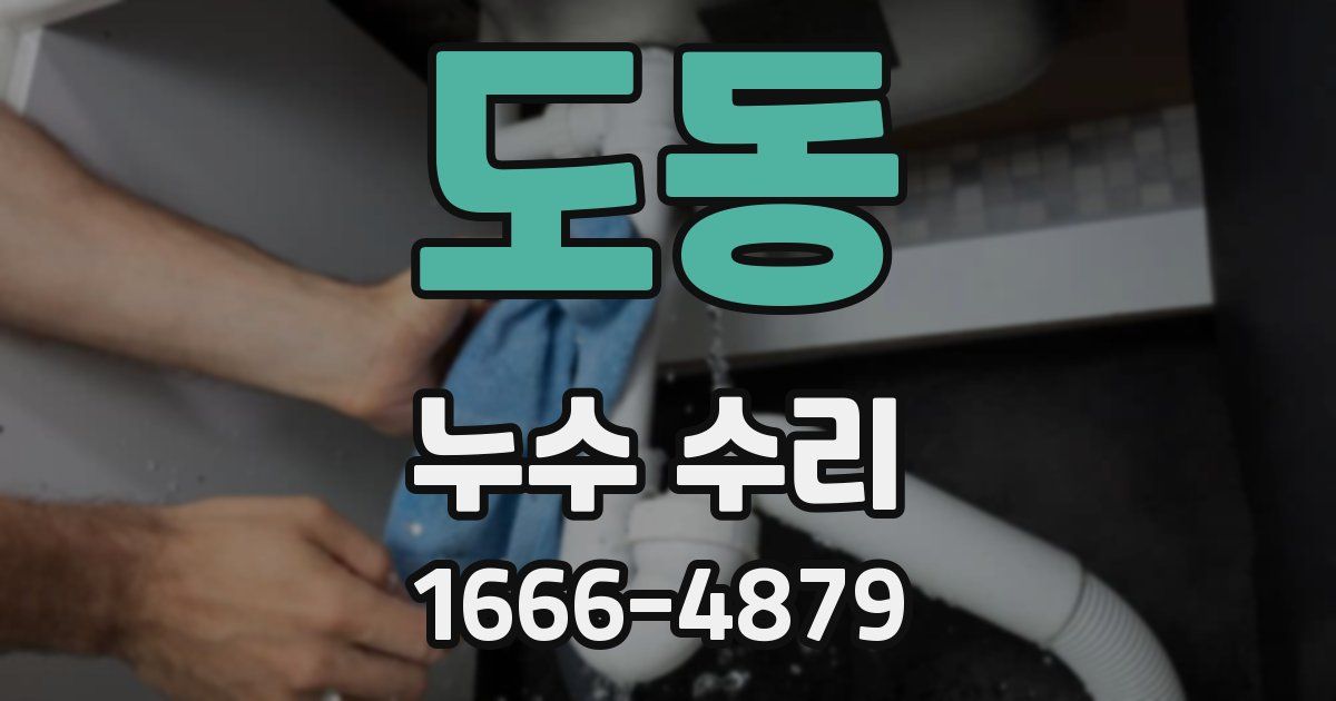 도동 누수 수리