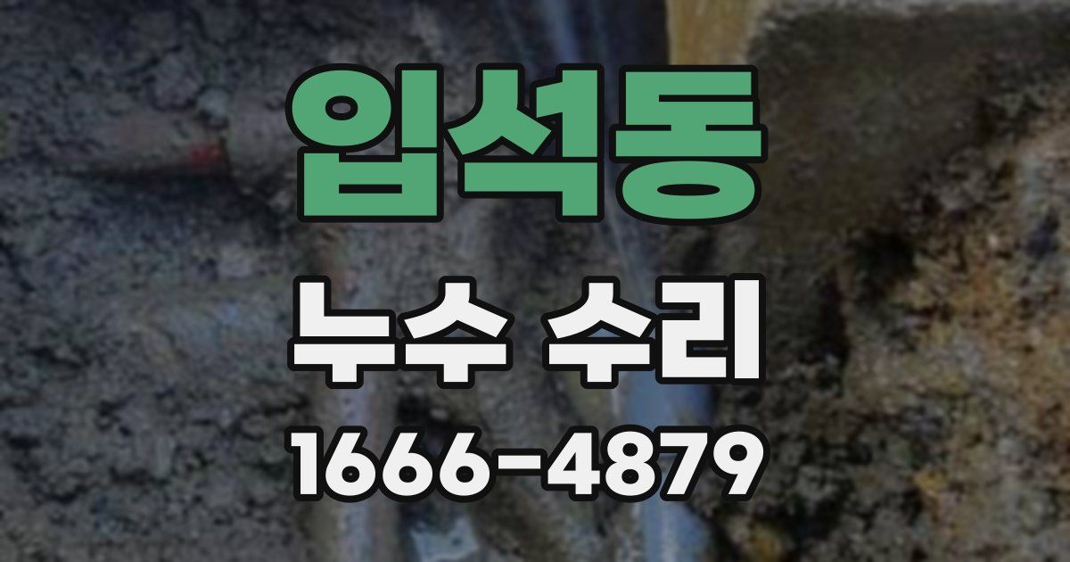 입석동 누수 수리