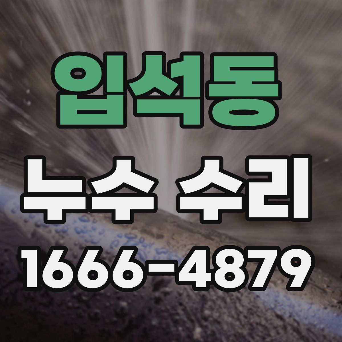 입석동 누수 수리