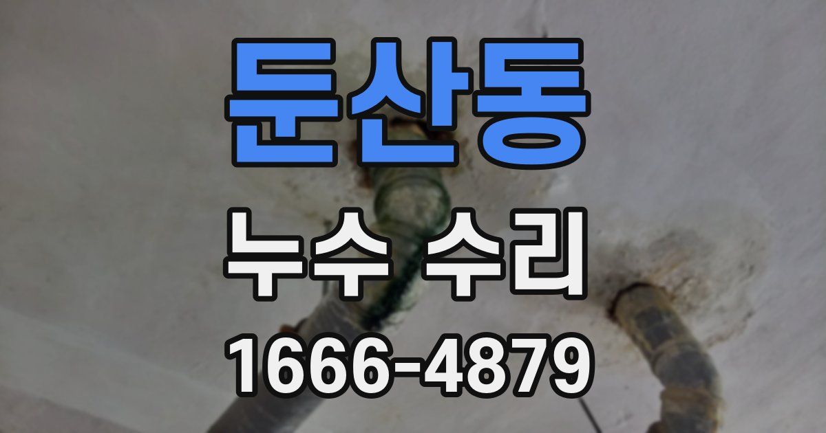 둔산동 누수 수리