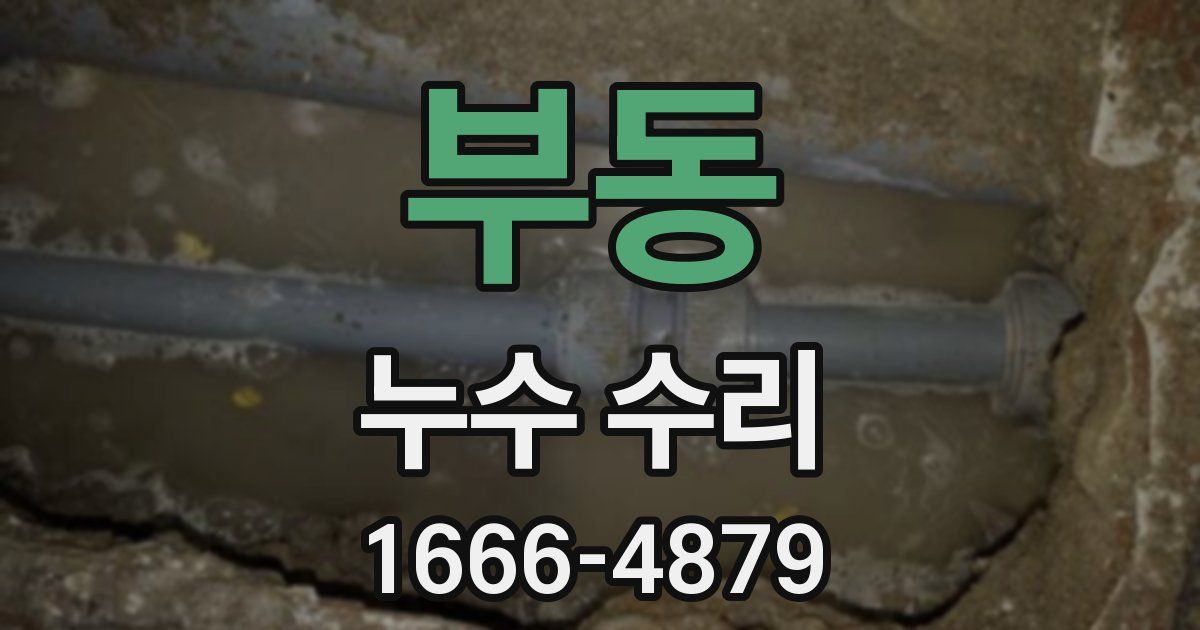 부동 누수 수리