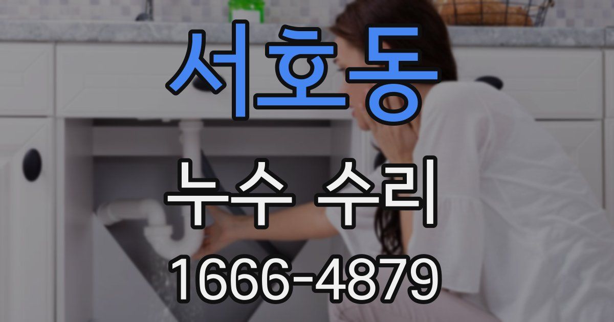 서호동 누수 수리